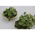 Herb Cure Epimedium Sagittatum Semi Horny Goat Weed 20% 40% Icariin